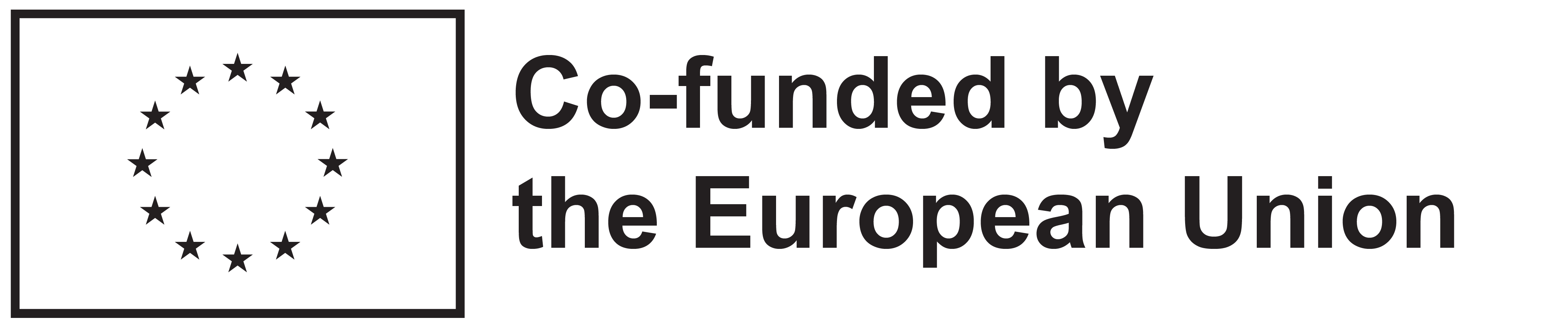 european flag